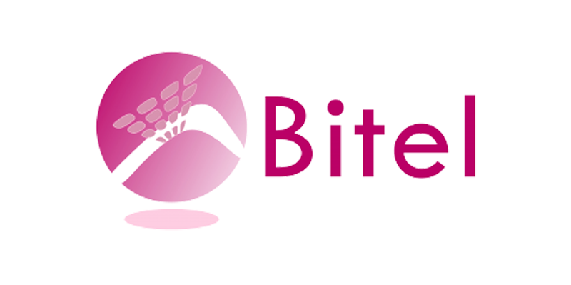 bitel_logo-1.png