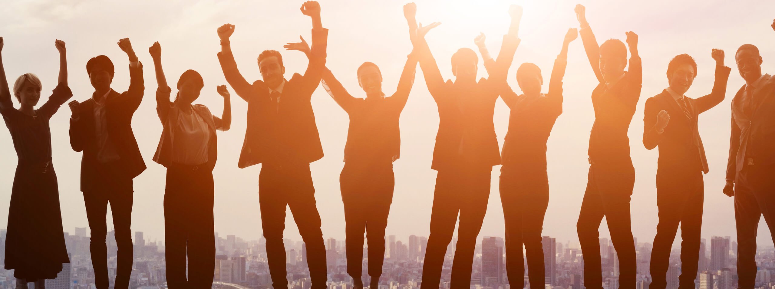 Striving for excellence – Milexia