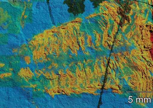 Chemical Microanalysis (EDS)